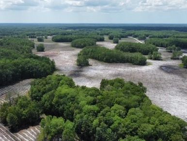 Step back in time on this 2015 acre parcel of Old Florida. Minutes away from Chiefland and Cedar Key