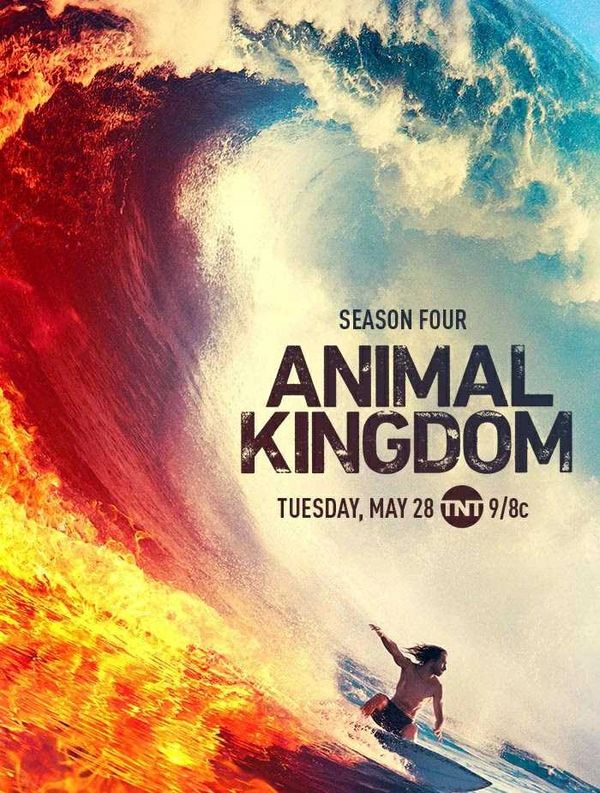 TV Show I worked on. - Animal Kingdom