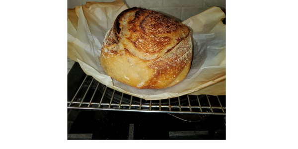 Sourdough Bread, fresh from the oven. I make several loaves a week.