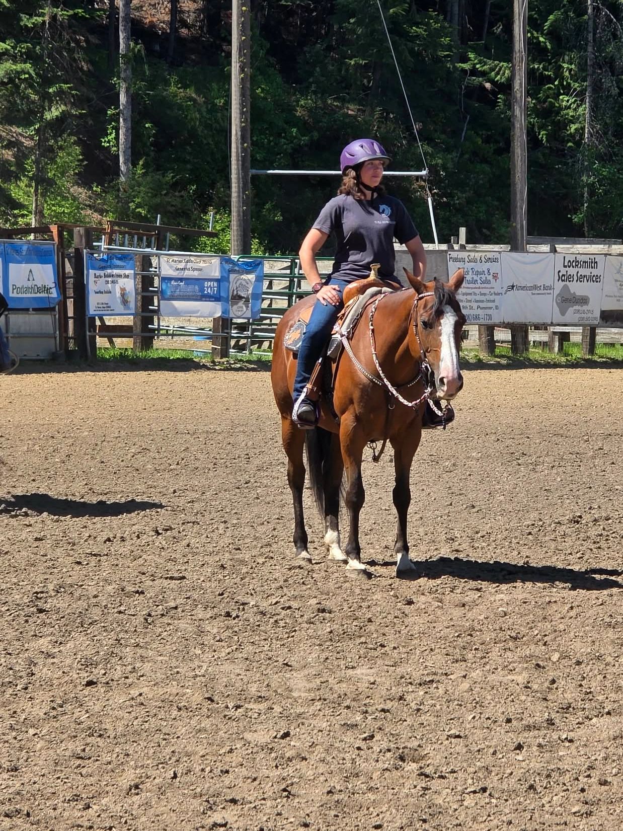 Person in a purple helmet riding a brown horse in an outdoor arena.