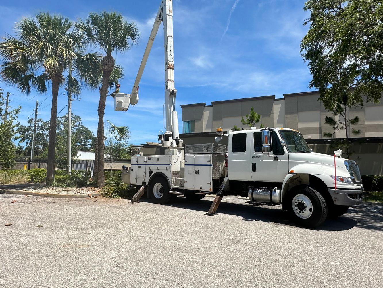 Stack of books next to pencils in a holder and a camera.