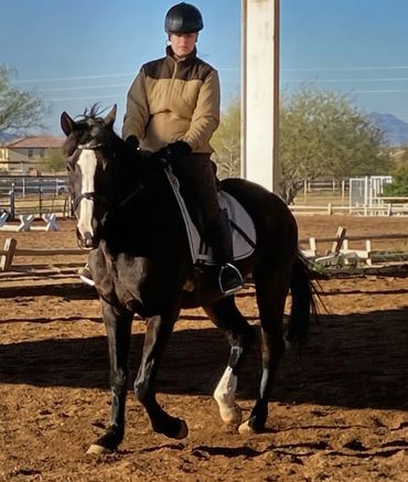Person riding a black horse in an outdoor arena on a sunny day.