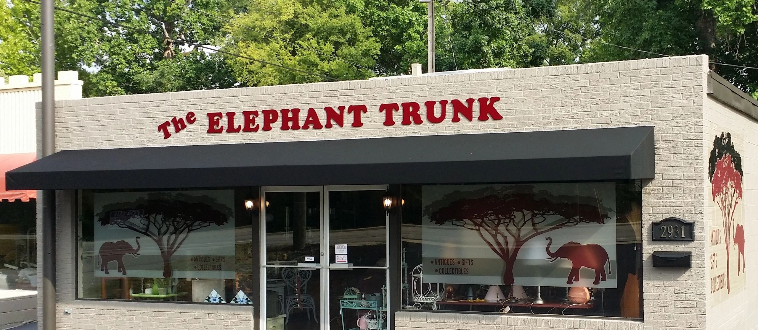 Home The Elephant Trunk