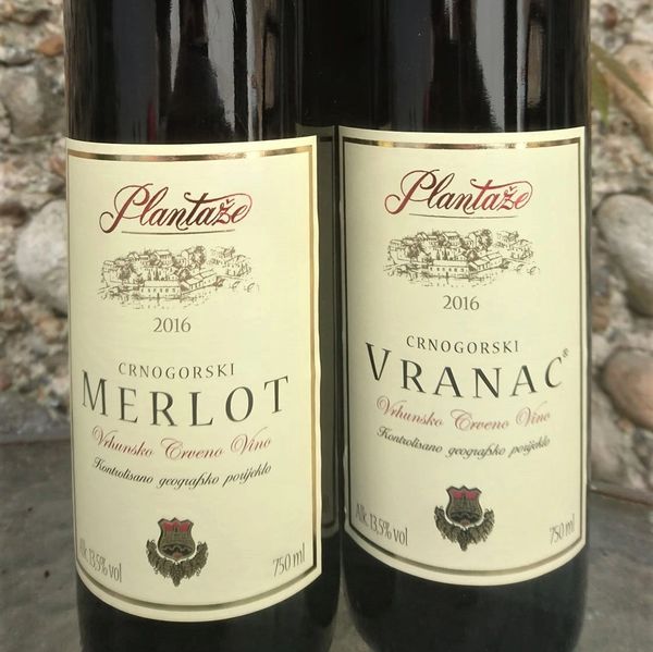 Plantaze Vranac Merlot Montenegro - Buy Wine Online at No Fuss Just Wines