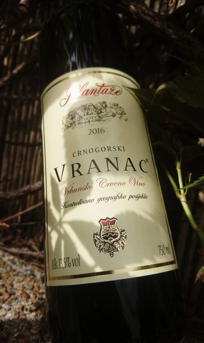 Plantaze Vranac Montengro