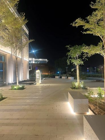 Well-lit, modern outdoor walkway with benches and trees at night.