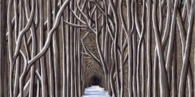 A snow-covered path through a dense, leafless forest.