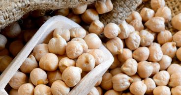 kabuli chana, karnatak, medium kabuli chana