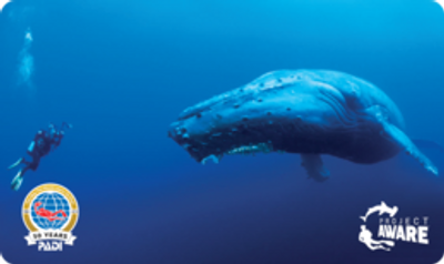 Every Transformation Scuba certification includes a special Project AWARE certification card.