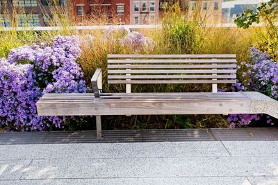 park bench with wildflowers and grasses all around