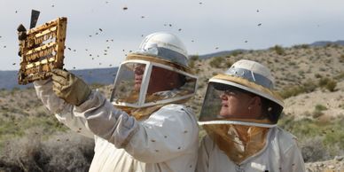 Martin James and Karla Bingham looking at a new batch of home grown Queen Honeybees.