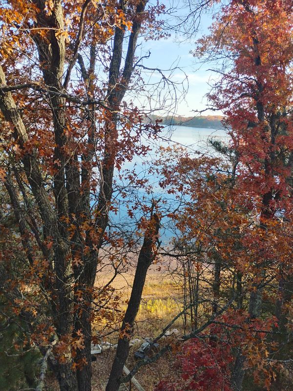 Autumn trees frame a peaceful lakeside view with vibrant fall colors.