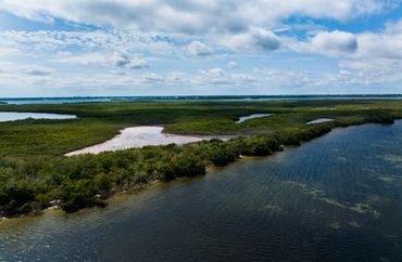 Aerial view of lush mangroves along a calm coastal water body under a partly cloudy sky.