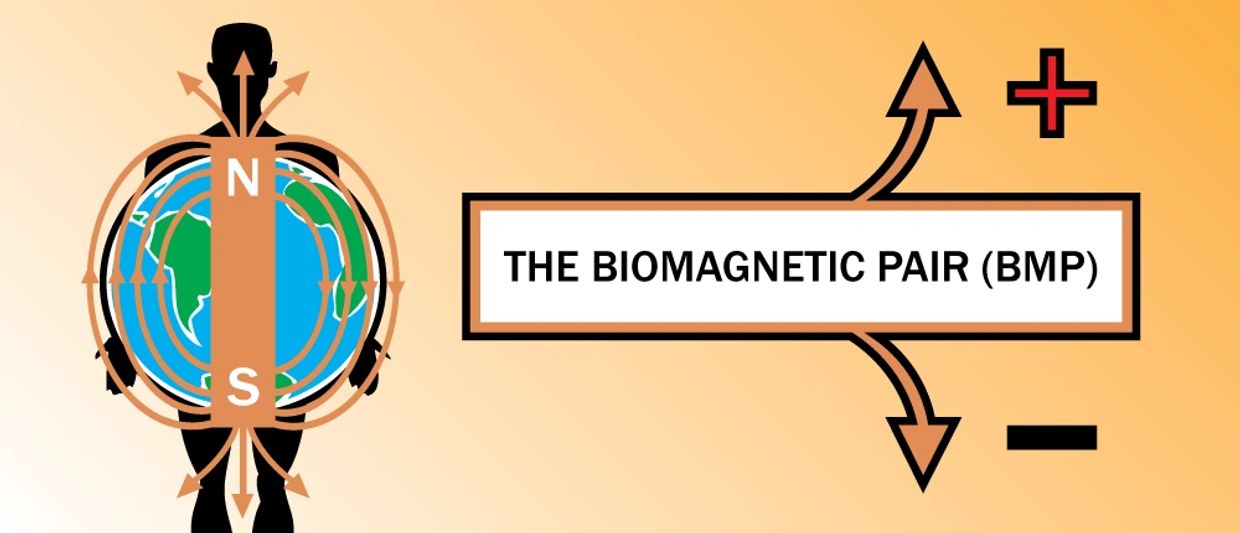 Biomagnetism, the human body resonance with earth's magnetic fields