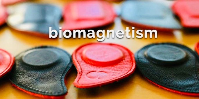 Biomagnetism Trainings