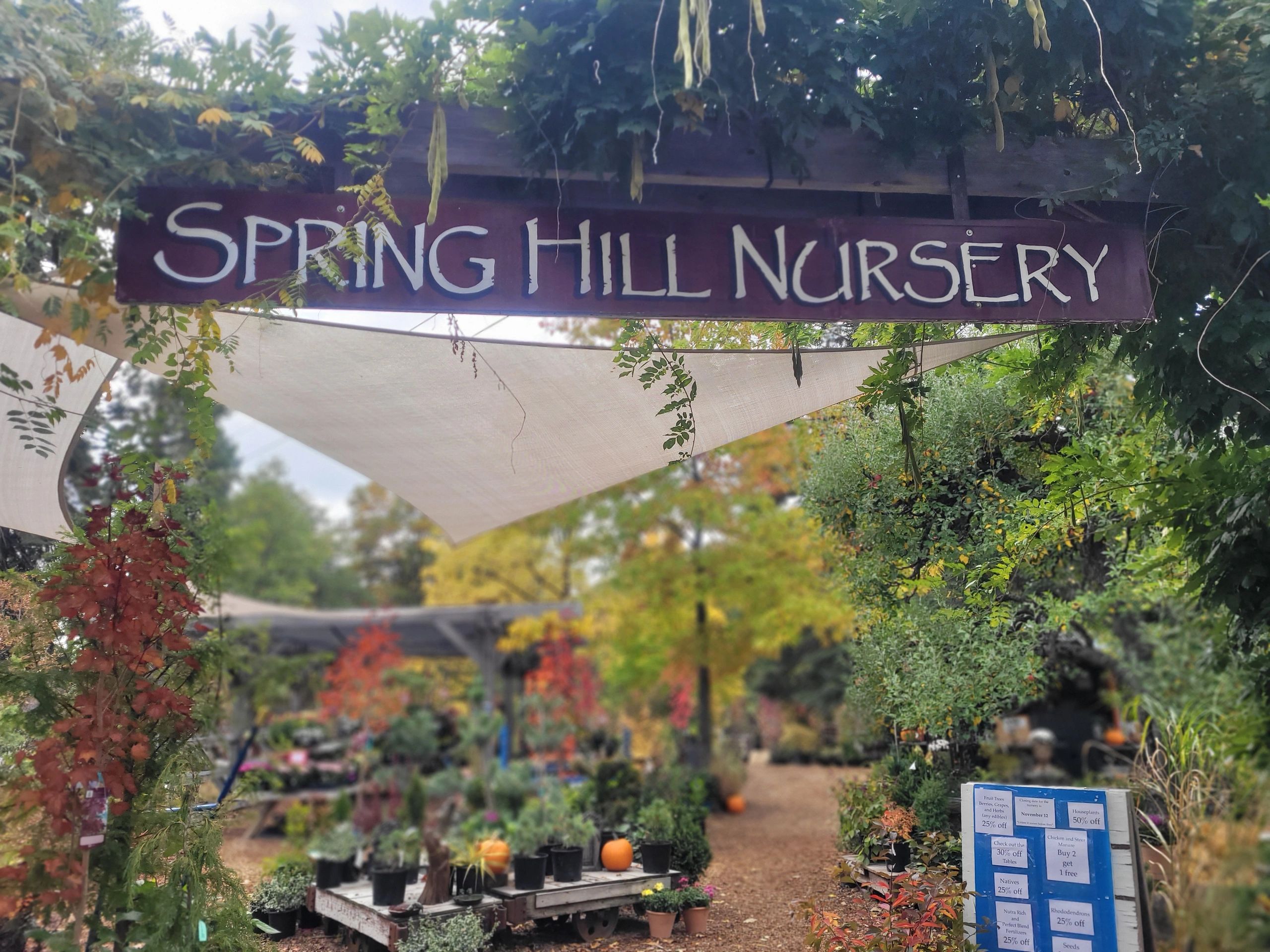 Simplicity Birdbath & Solar Fountain  Spring Hill Nurseries – Spring Hill  Nursery