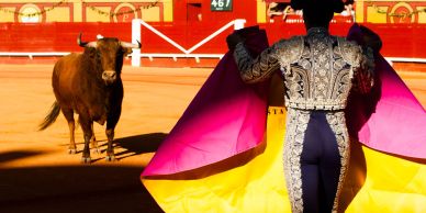 Matador in traditional suit facing a bull with a colorful cape in a bullring.