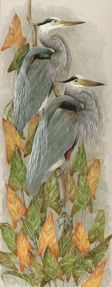 Original Watercolor
Great Blue Heron
Beautiful In Blue
Framed Size 64x38
$4500
*Giclee's Available