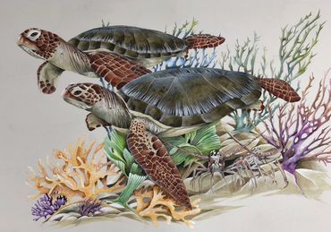 Coral Fantasy"
Giclee - Sea Turtles
Image Size 45"x30"
Price $500