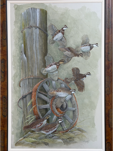 Quail
Original Watercolor
Framed Size 60x40
$6800.