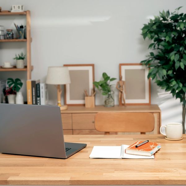 Minimalist workspace with laptop, notebook, and plants.