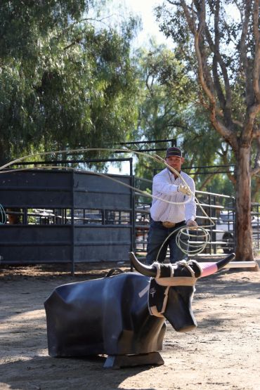 A cowboy practicing lasso skills on a mechanical bull outdoors.