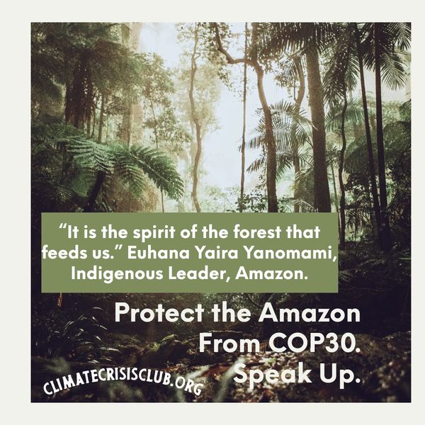 Quote on protecting the Amazon forest from COP30.