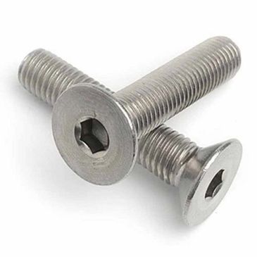 Two stainless steel flat head screws with hex socket drives.