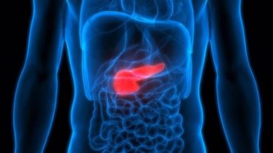 El ultrasonido de páncreas se realiza en pacientes con sospecha de pancreatitis, tumores pancreatico
