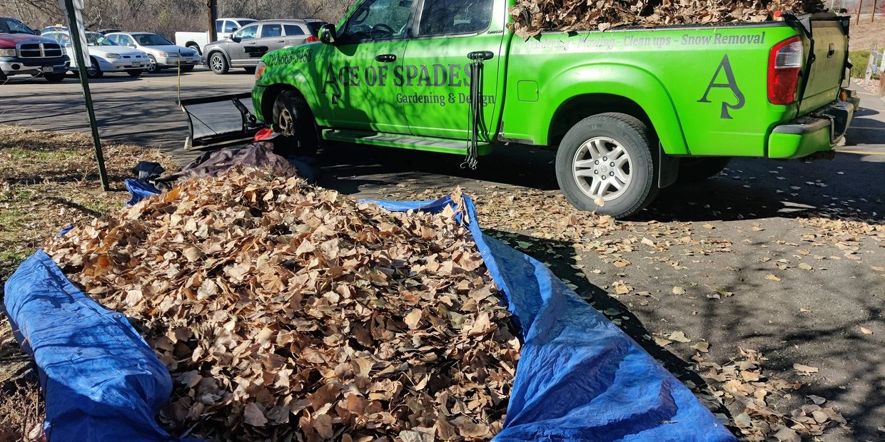 Leaf removal near University. 