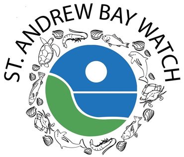 http://www.standrewbaywatch.org/