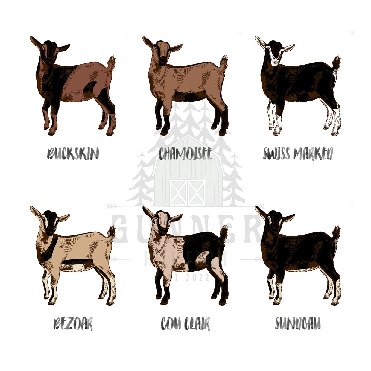 Illustration of six different goat breeds with labels.
