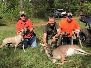 Pictured here is Randy Vick and Kenny Mullins with their Ladner curs that recovered a wounded deer.