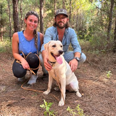 Briar is a beautiful lab trained to blood trail wounded deer for an outfitter in Kentucky.