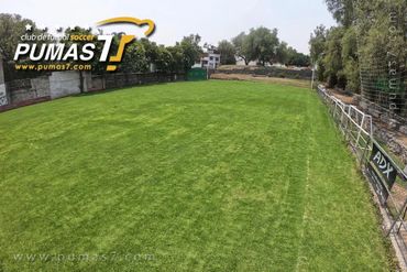 Pumas7 Soccer Club-Liga de Futbol7-Instalaciones