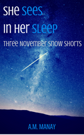 She Sees in Her Sleep
Three November Snow Short Stories