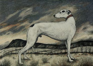 Greyhound, 61 x 43 cm approx.