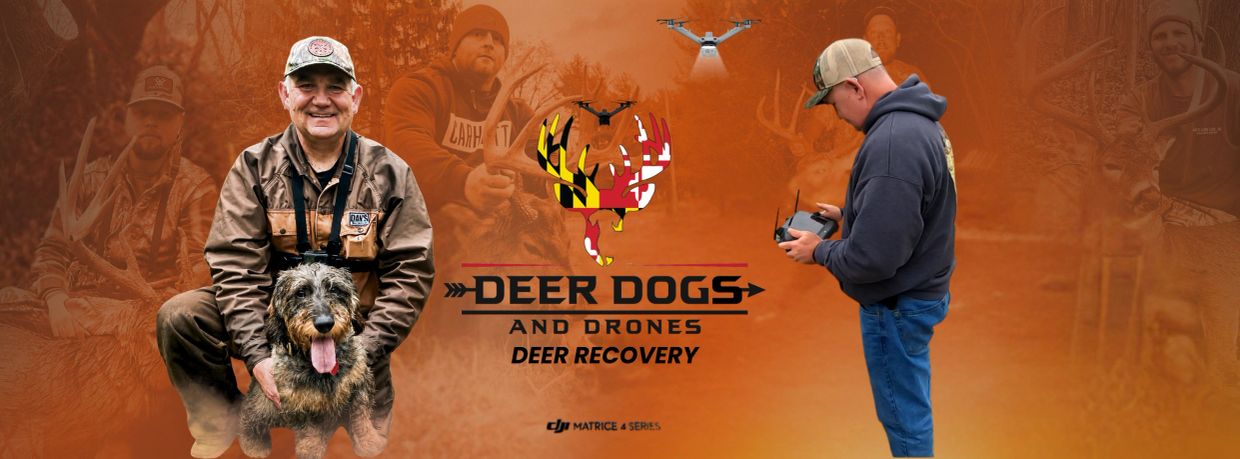Promotion for deer recovery using dogs and drones.