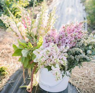 Diy wedding florals alberta
wholesale flowers alberta
lethbridge wedding florals cardston florist