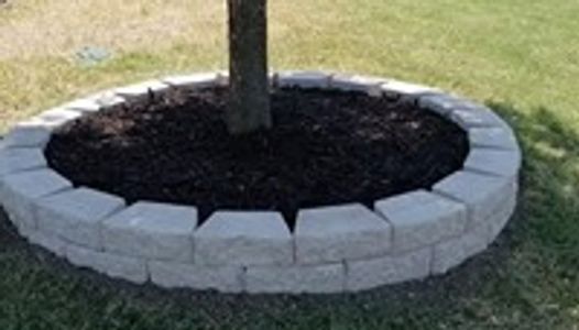 Stone tree ring