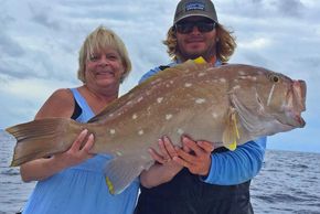 yellow edge grouper deep dropping in the Florida Keys