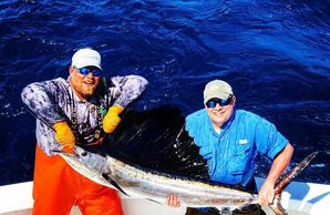 Islamorada Florida Keys sailfish
