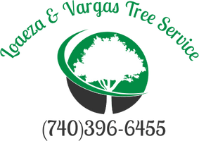 Loaeza & Vargas 
Tree Service