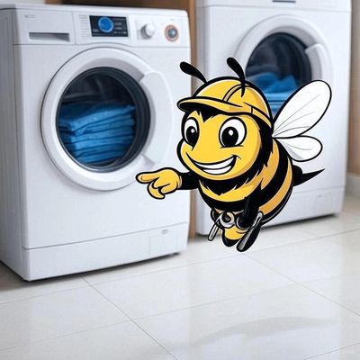 Mr. Bee hovering in front of a washer and dryer.
