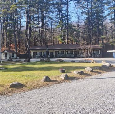 A peaceful cabin surrounded by tall trees and a gravel driveway.