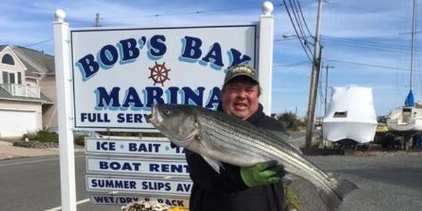 Bob's Bay Marina, Barnegat, New Jersey, Bay, Crabbing, Fishing, Photos, Boats, rental, slips