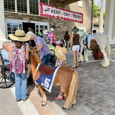 horses visiting Grand Oaks for PCFTA Kentucy Derby Day