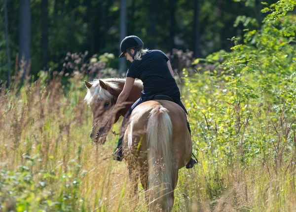 Palm City Farms Association members horseback riding trail