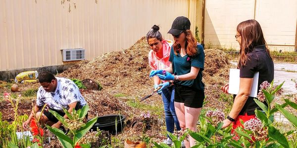 Students taking soil samples from the Borderland Butterfly Garden