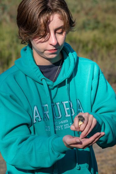 Bergen County Audubon Society (BCAS) Birding Festival
